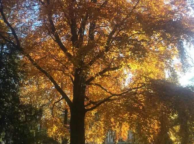 In Pempelfort - Dusseldorf