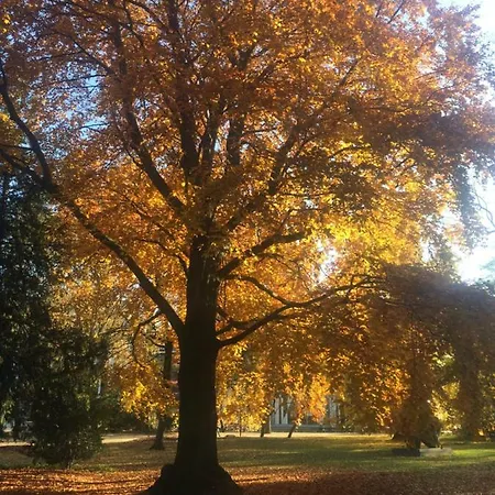 In Pempelfort - Dusseldorf